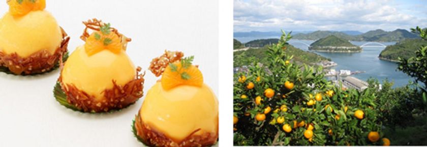 2017年度「阪急阪神第一ホテルグループ 料理コンテスト」
審査員特別賞受賞作品
「大長(おおちょう)みかん」を使用したデザート
「まるまるみかん」販売開始　2018年11月1日（木）より