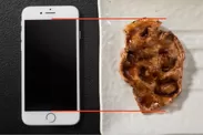 iPhone8の画面とほぼ同じサイズの肉(※肉の大きさには個体差があります。)