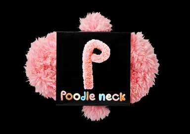 商品パッケージ