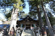 専用バスで三峯神社へ行く　初冬の三峯神社と秩父夜祭を巡るツアー