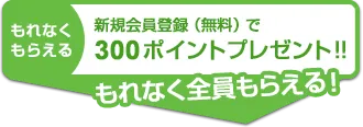 300ポイントをプレゼント
