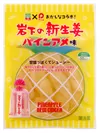 「岩下の新生姜 パインアメ味」商品パッケージ