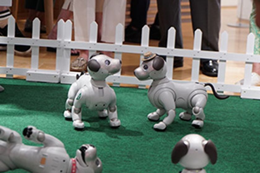 関西初！犬型ロボット「aibo」がいっぱい！
aiboオーナーも、そうでない方も楽しめるイベントが大阪・梅田で開催。