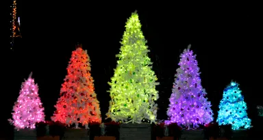 ひらパークリスマスパーティ２※昨年の様子