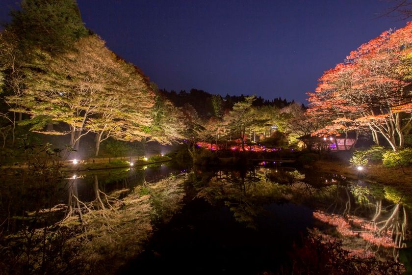 ライトアップされた紅葉とアートを楽しむ
六甲高山植物園　夜の紅葉散策　ラスト1週間　11月11日(日)まで開催！
