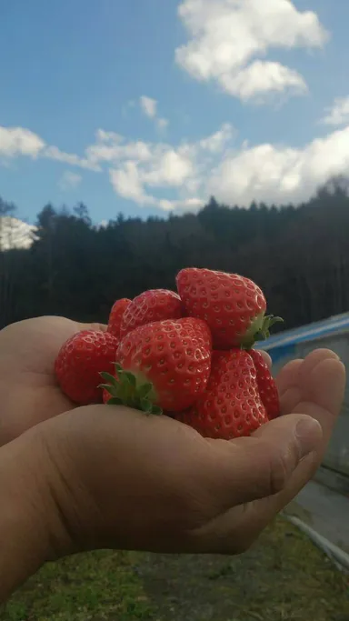 思いが強いから味も濃いです