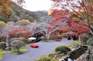 京都・洛北に佇む“秘密の庭園”への誘い