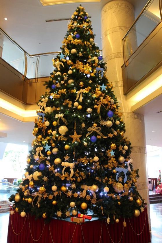 高さ6メートル超えのビッグクリスマスツリーや
特設フォトスポットが登場！
館内のクリスマス装飾を開始
2018年11月12日（月）より　JRホテルクレメント高松にて