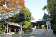 日本庭園を眺めながら秋の贅沢ランチを　原宿 東郷記念館、期間限定レストラン「神楽」を11/19～OPEN