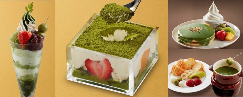 SNSで話題の升入りティラミスがジョナサンに登場
濃厚抹茶の極上和スイーツ
見た目にも鮮やかな「お濃い抹茶フェア」