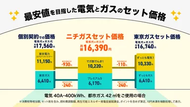 最安値を目指した電気とガスのセット価格