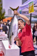 数の子の試食4,000人分！ざこばの朝市×世界の数の子博を大阪市中央卸売市場前で11/25に開催　マグロ解体ショーなども