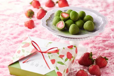 宇治抹茶苺とりゅふ お茶苺(おちゃめ)さん