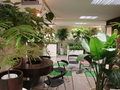 森のオフィス　内観