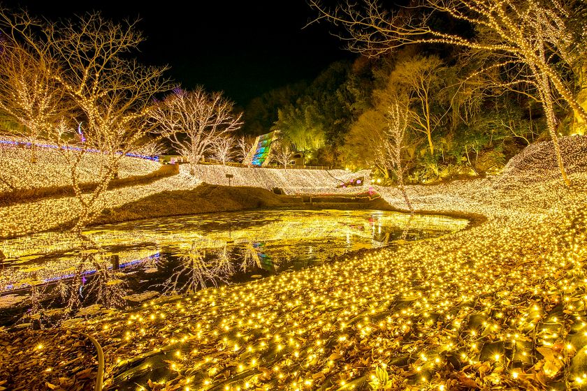ネスタリゾート神戸のイルミネーション
全国5,542名の夜景鑑賞士が選ぶ
「第六回イルミネーションアワード」2部門で受賞
関西No.1に!