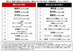 ＜消費税増税決定直後に聞く 家計と暮らし調査＞家計の実態ランキング発表！～ 減らしたいもの全世代1位は「電気代」～　～ この冬は“家で楽しむ”「インドア家族」が増加で家計もインフラ見直しがポイント ～