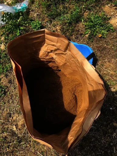 田んぼに撒いた魚粉