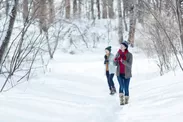 【星野エリア】冬の森　散策イメージ