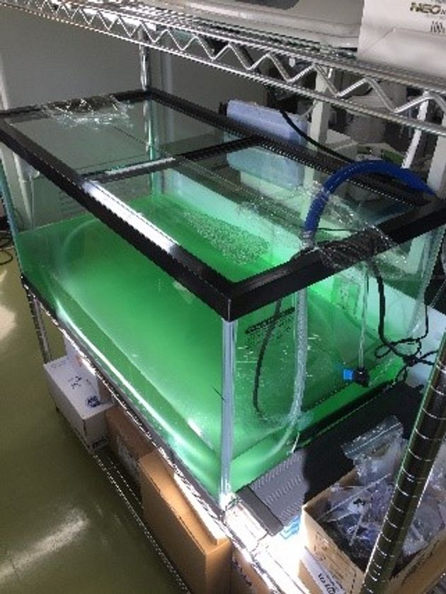 明治大学農学部・小山内崇准教授の研究チームが
「低炭素社会」の構築を目的としたJST戦略的創造研究推進事業「ALCA」実用技術化プロジェクトに採択されました