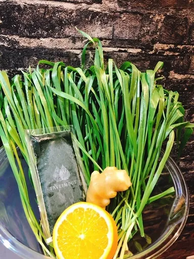 『ストロング』素材