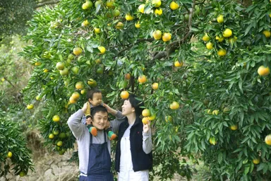 鋤ラボメンバー　ツギキ