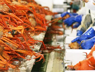 水揚げ量日本一を誇る、地元境港市で獲れた「紅ずわいがに」が原料に