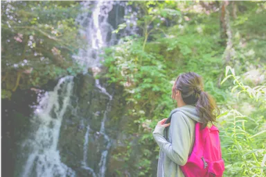 動プランイメージ