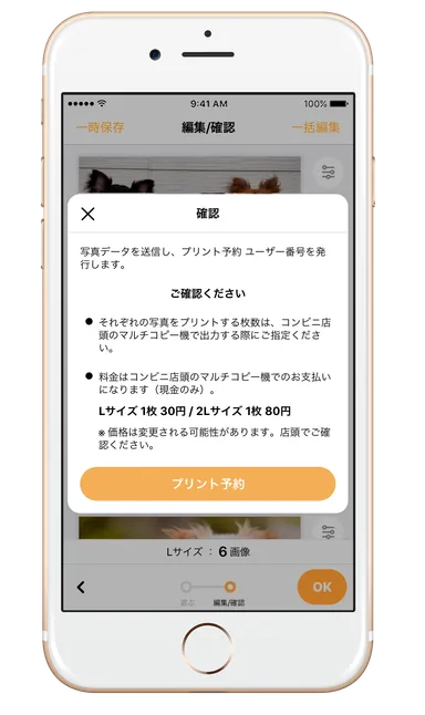 ネットワークプリントサービスに連携
