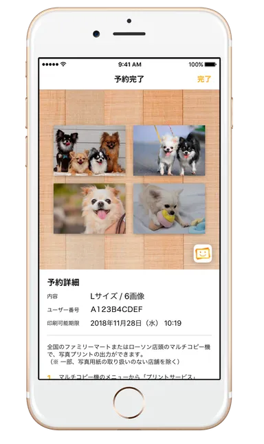 発行される番号があれば、どなたでも出力可能