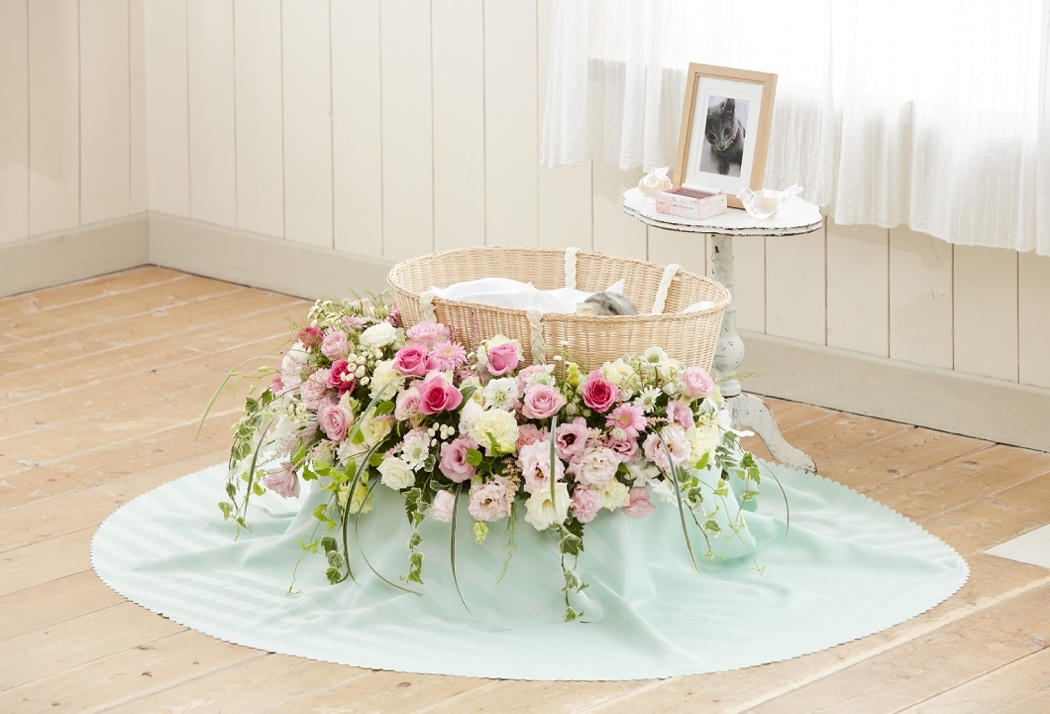 日比谷花壇のペット葬 を11月22日から提供開始 株式会社日比谷花壇のプレスリリース
