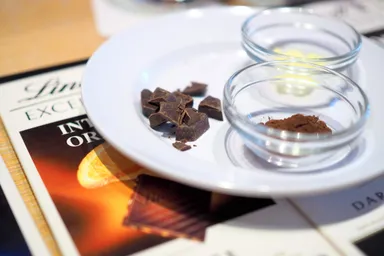 チョコレートテイスティングセミナー(イメージ) 5