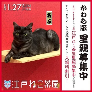 誰でも自由にご使用いただけるSNS投稿用のオフィシャル素材2