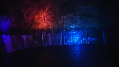 ライトアップイメージ(1)