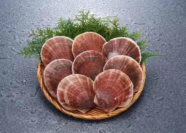 青森県産ほたて貝