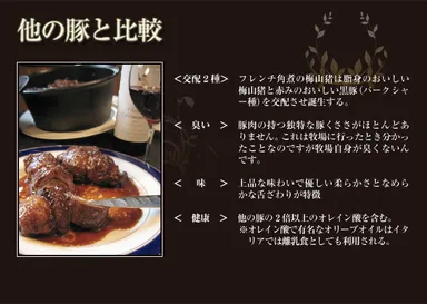 “梅山猪”について