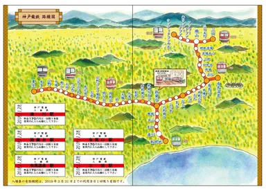 台紙（中面）イメージ