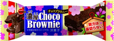濃厚チョコブラウニー(J)(1)