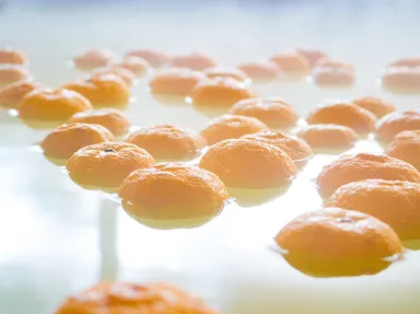 ゆず湯イメージ1