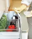 「過炭酸ナトリウム」でカビ対策:冷蔵庫のパッキン