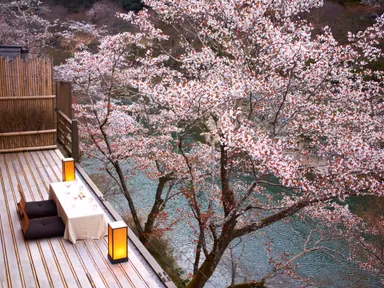 【星のや京都】夜桜ディナー(３)