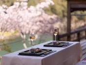 【星のや京都】夜桜ディナー(１)
