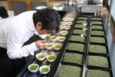 茶師マルモ森商店 森氏