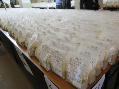 コンクール5,715点の出品米