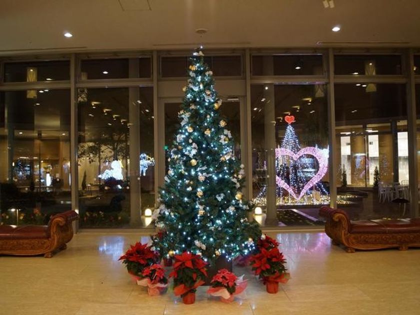 クリスマスシーズンは和歌山のスパリゾートで輝くプライベートイルミネーションやビュッフェを堪能 白浜古賀の井リゾート スパでクリスマスフェア開始 白浜古賀の井リゾート スパ 旧 コガノイベイホテル のプレスリリース