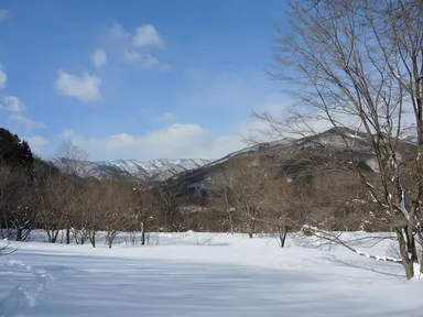 冬の「赤谷の森」