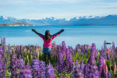 ニュージーランド(イメージ)