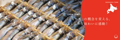 白糠町「ししゃも」の概念を変える、ふくよかな味わいに感動！