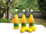 【復興支援プロジェクト】柑橘ジュースセットとみかん
