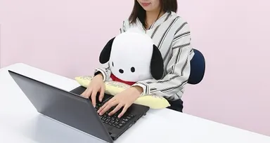 PCクッション　ポチャッコ　使用イメージ
