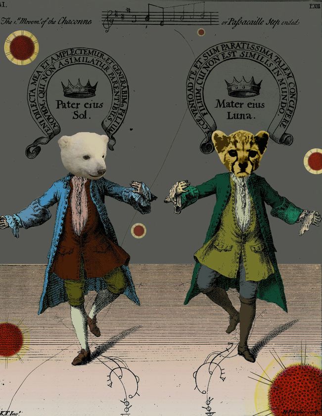 星空・暗闇・音楽が共鳴するプラネタリウムライブ
『LIVE in the DARK』
2019年2月8日(金) Serphの出演が決定！！